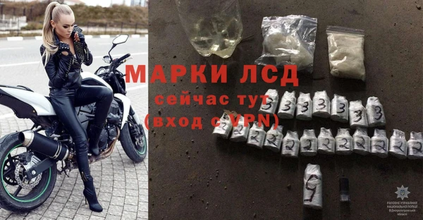 ПСИЛОЦИБИНОВЫЕ ГРИБЫ Абаза