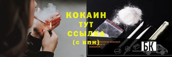 хмурый Каменка