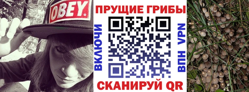 Галлюциногенные грибы Cubensis  darknet формула  Электрогорск  купить  